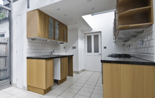 Randalstown kitchen extension leads